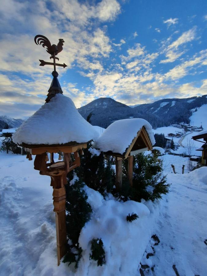 Haus Traninger Daire Flachau Dış mekan fotoğraf
