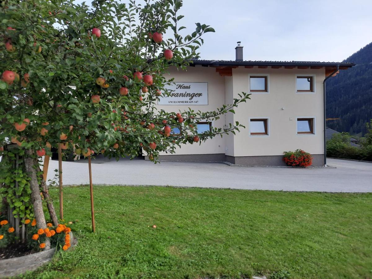 Haus Traninger Daire Flachau Dış mekan fotoğraf