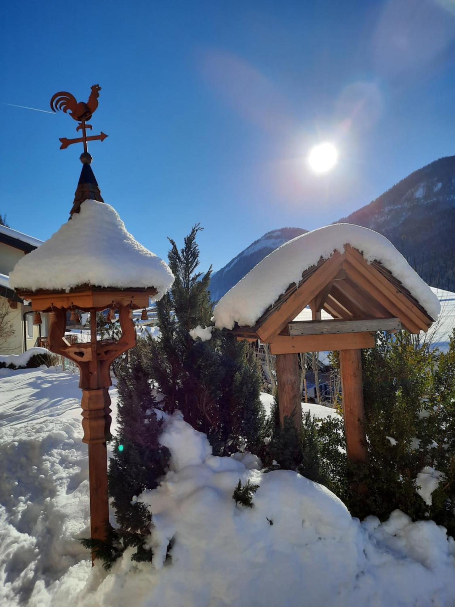 Haus Traninger Daire Flachau Dış mekan fotoğraf