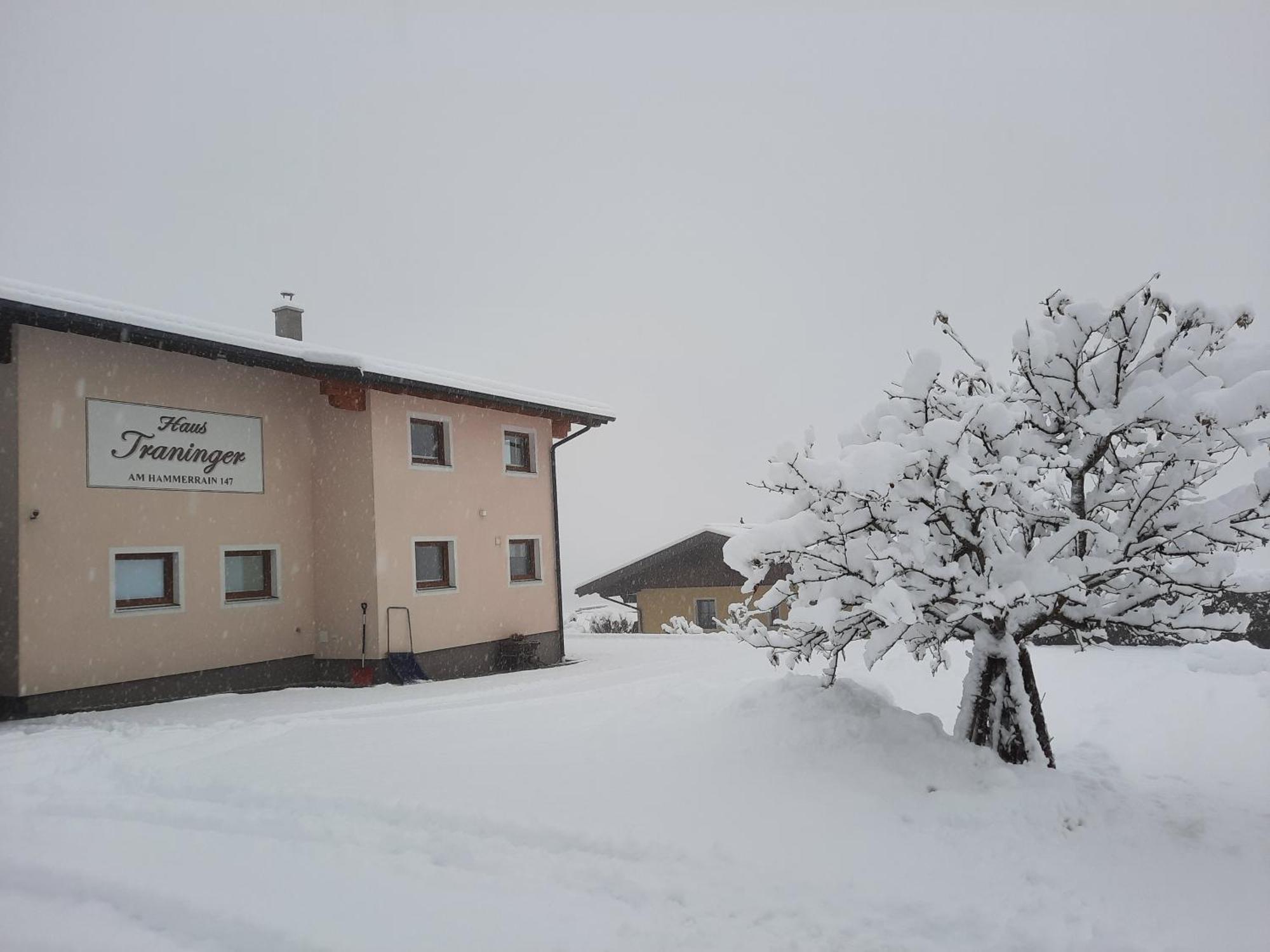 Haus Traninger Daire Flachau Dış mekan fotoğraf