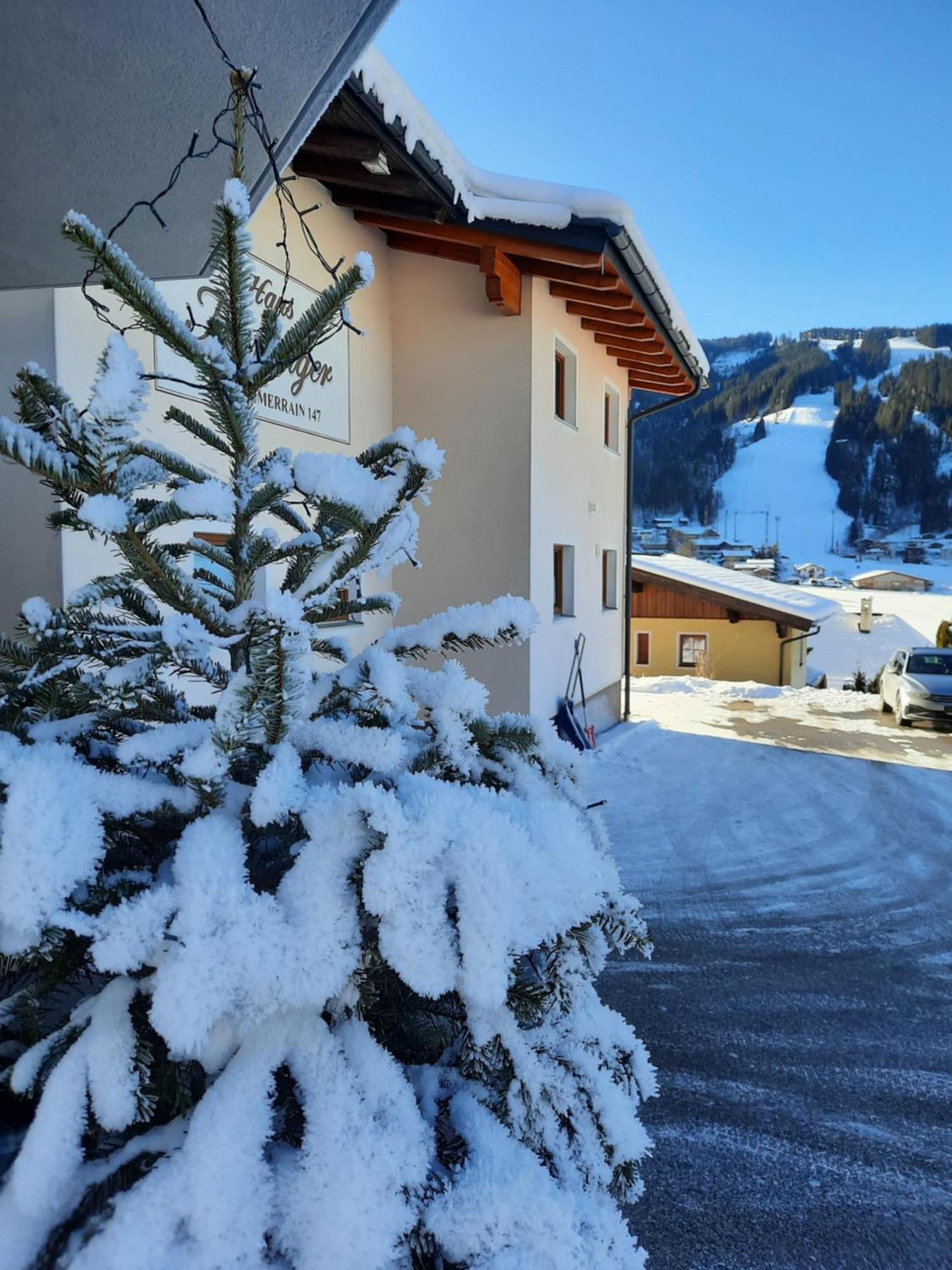 Haus Traninger Daire Flachau Dış mekan fotoğraf