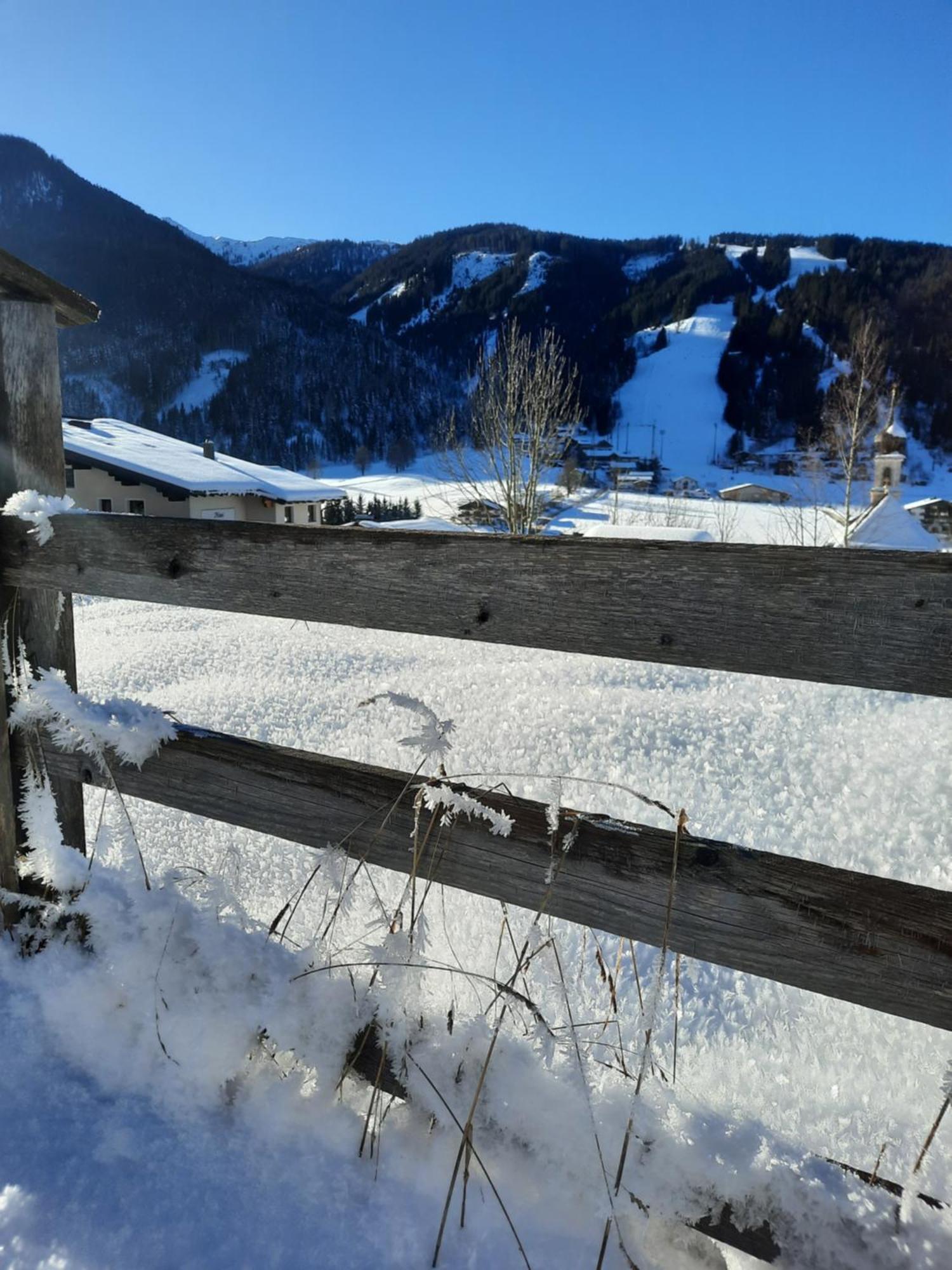 Haus Traninger Daire Flachau Dış mekan fotoğraf