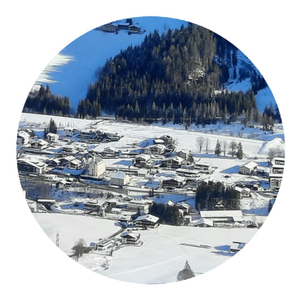 Haus Traninger Daire Flachau Dış mekan fotoğraf