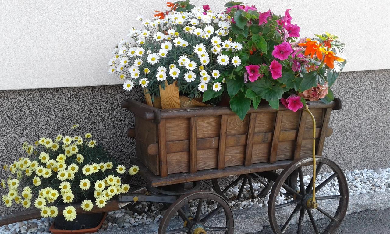 Haus Traninger Daire Flachau Dış mekan fotoğraf